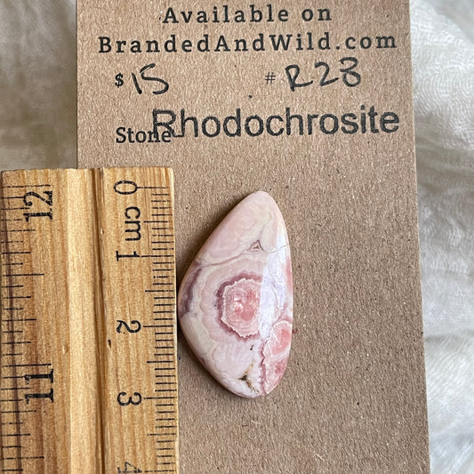 Rhodochrosite Cabochon - R28 D60ED214-201A-4B05-99CF-88D32C359708 Brandedandwild.com