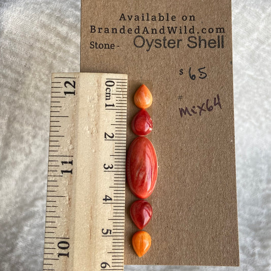 Oystershell Cabochon - MIX64