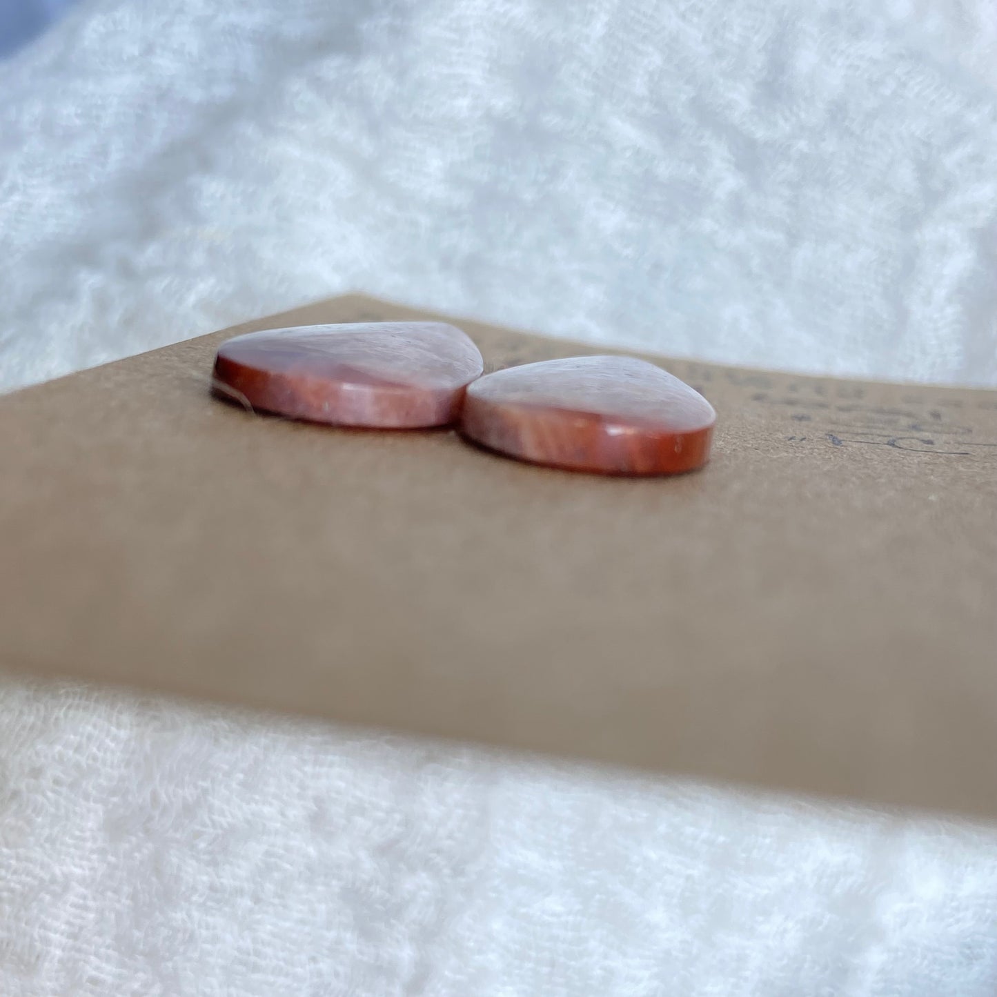 Fossil Coral Cabochon - FC77