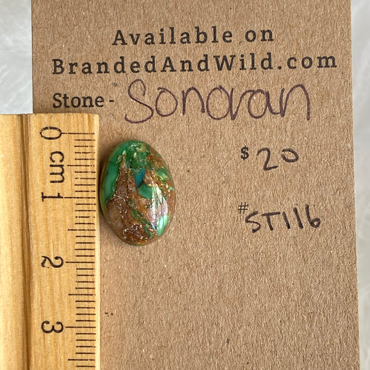 Sonoran Turquoise Cabochon - ST116