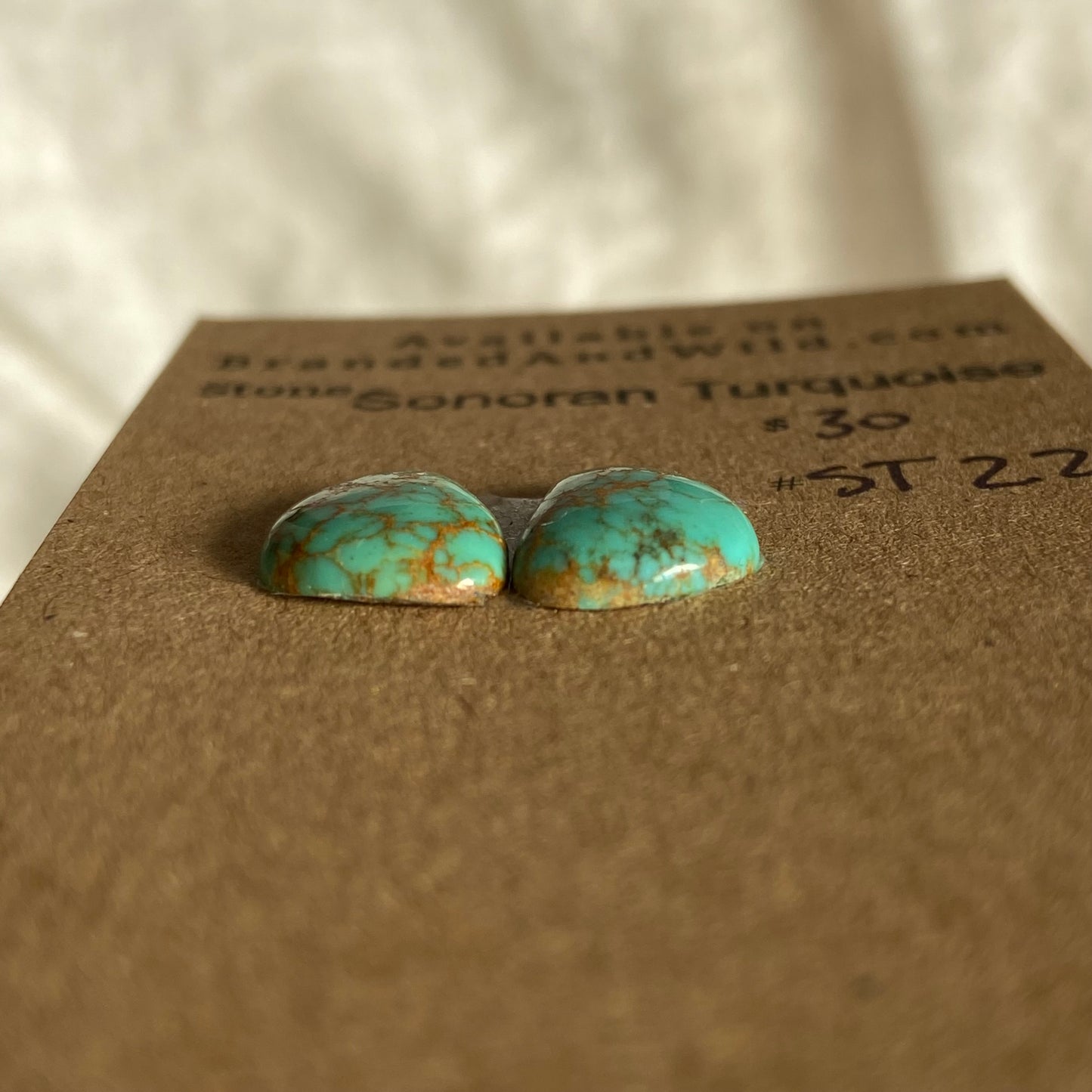 Sonoran Turquoise Cabochon - ST22