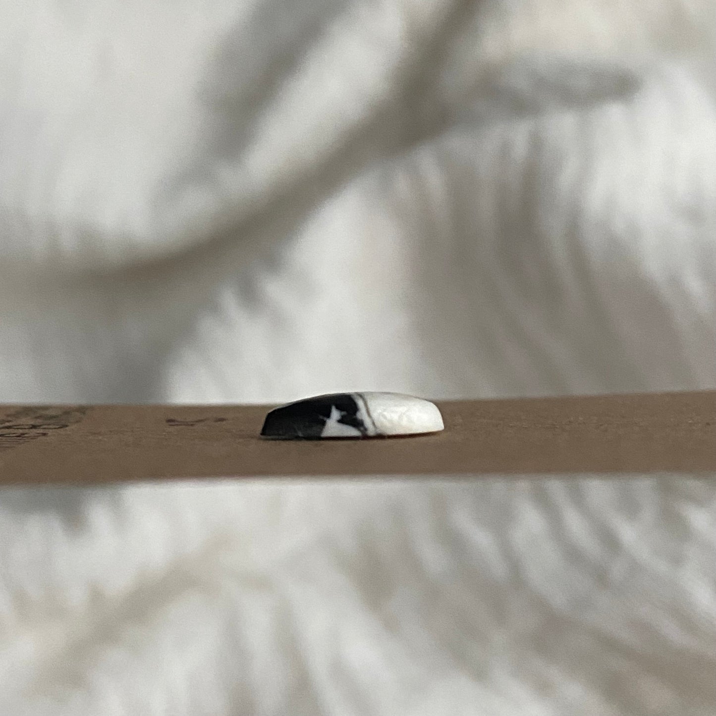 White Buffalo Cabochon - WB70