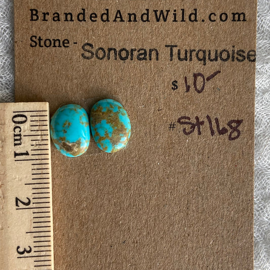 Sonoran Turquoise Cabochon - ST168