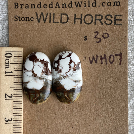 Wild Horse Cabochon - WH07