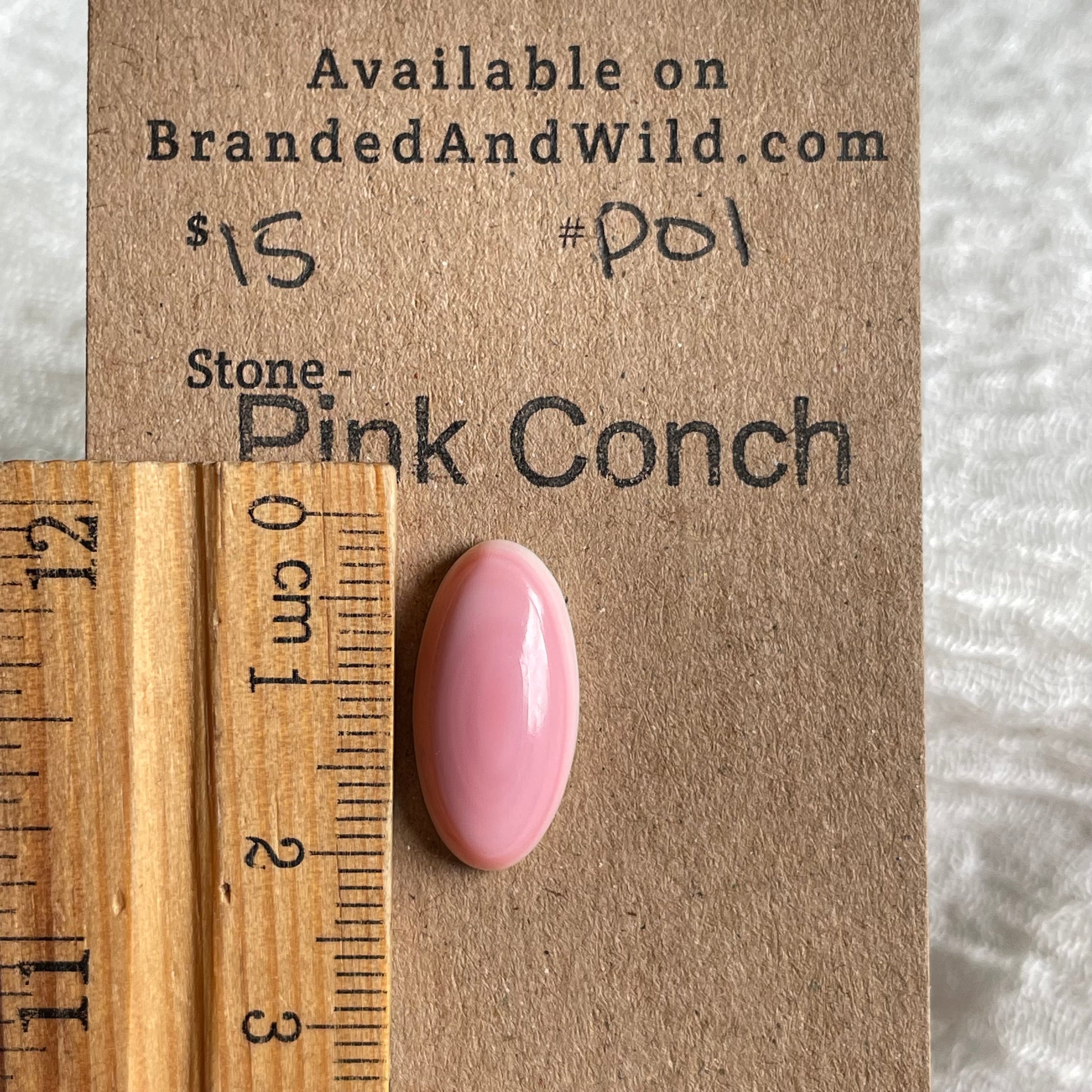 Pink Conch Cabochon - P01 D696BB28-0971-4B57-AC5C-0FB7305B3BF6 Brandedandwild.com