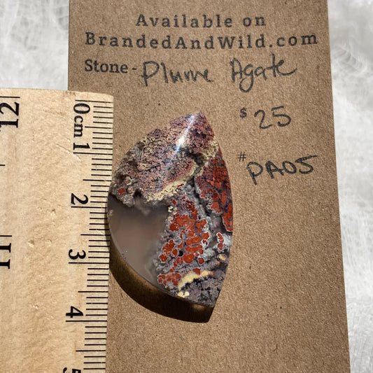 Plume Agate Cabochon - PA05