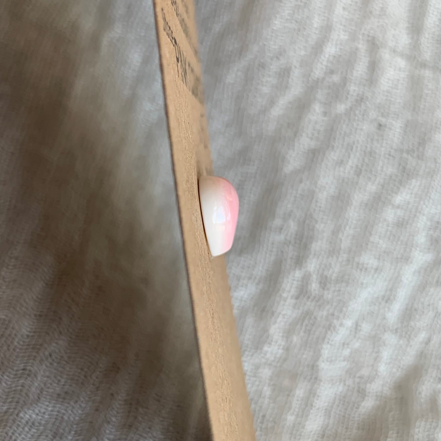Pink Conch Cabochon - PC18
