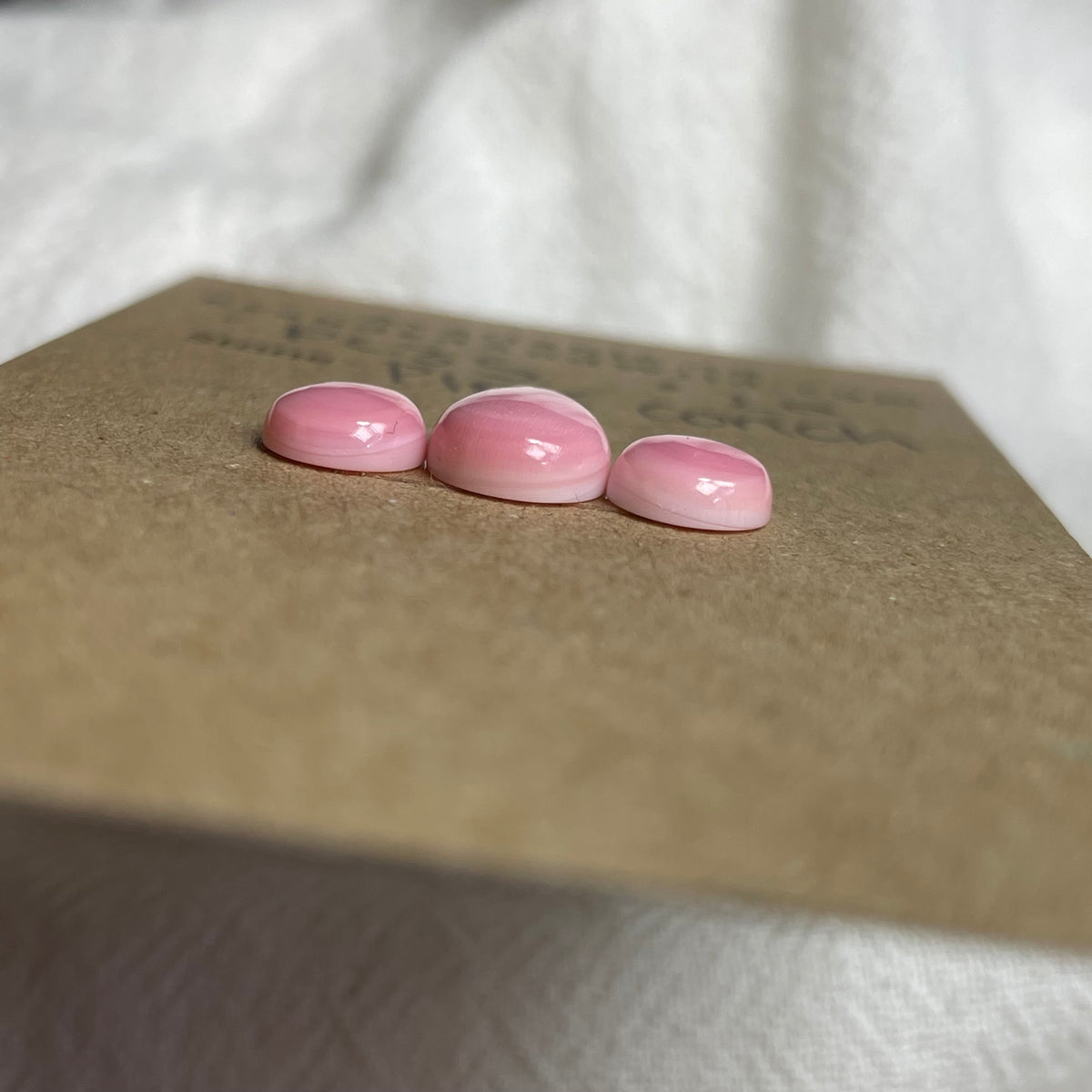 Pink Conch Cabochon - PC35 D6C1C1CD-023E-4027-AF3C-2C64EE06022C Brandedandwild.com