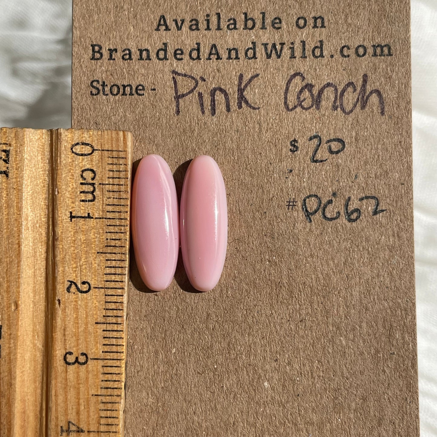 Pink Conch Cabochon - PC62 D6D7A14B-7C66-4FD7-A386-B12262F75785 Brandedandwild.com