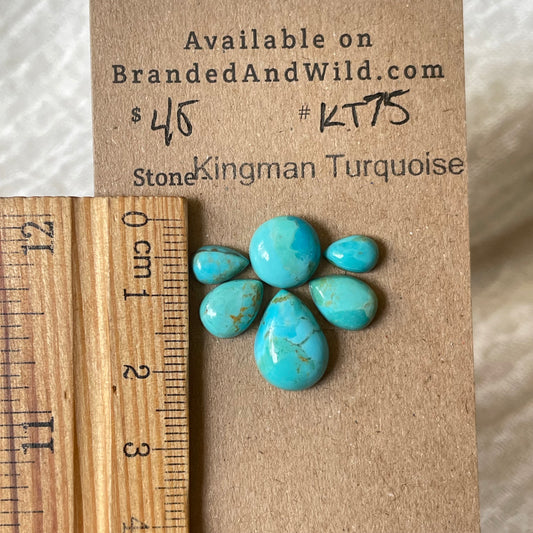 Kingman Turquoise Cabochon - KT75 D6EDB810-00AF-423B-8460-3D405E1DE412 Brandedandwild.com
