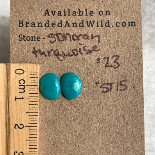 Sonoran Turquoise Cabochon - ST15