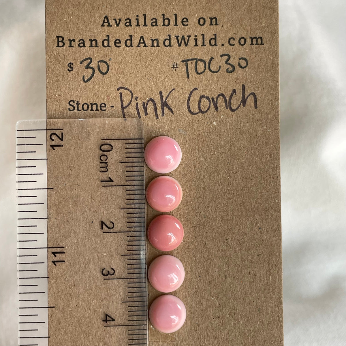 Pink Conch Cabochon - PC30 D70317AB-F9E2-4899-BF8A-868E01A6DE6C Brandedandwild.com