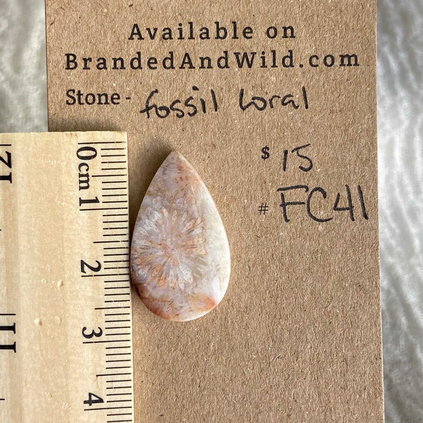Fossil Coral Cabochon - FC41