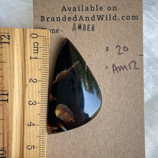 Amber Cabochon AM12