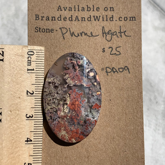Plume Agate Cabochon - PA09