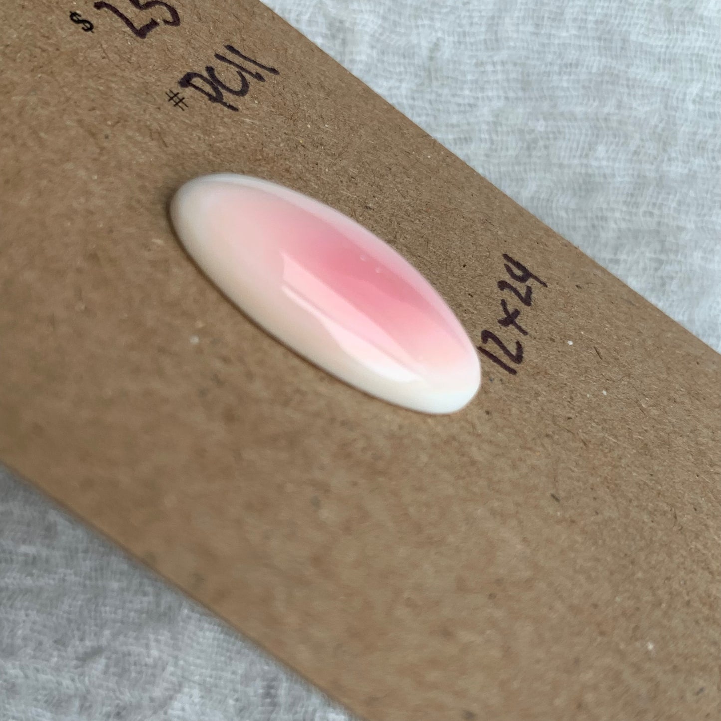 Pink Conch Cabochon - PC11