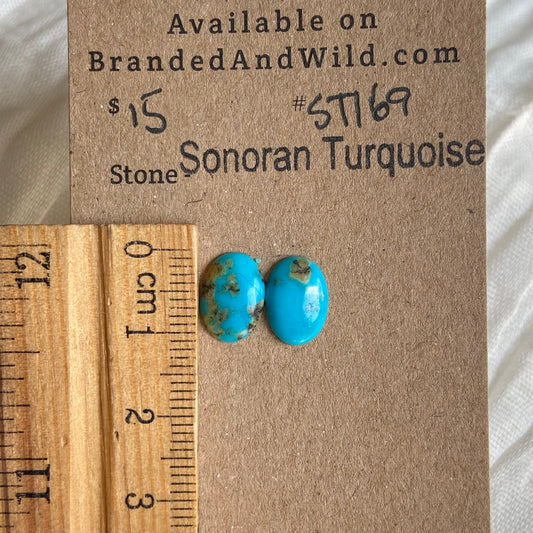 Sonoran Turquoise Cabochon - ST169 D74C2778-1218-49B2-9D8D-2856D899D0B4 Brandedandwild.com