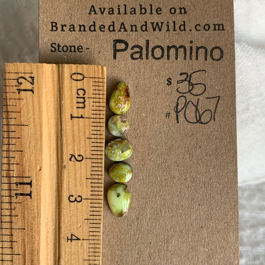 Palomino Cabochon - P067