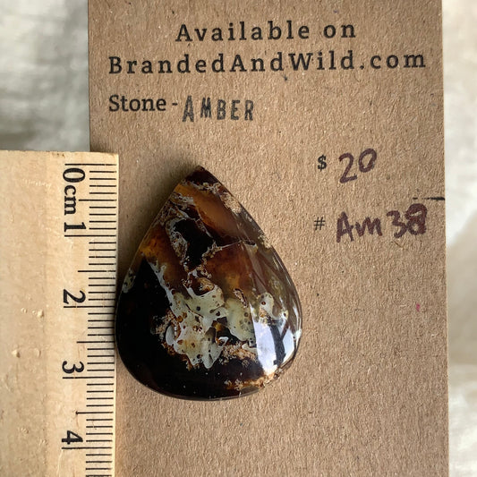 Amber Cabochon AM38