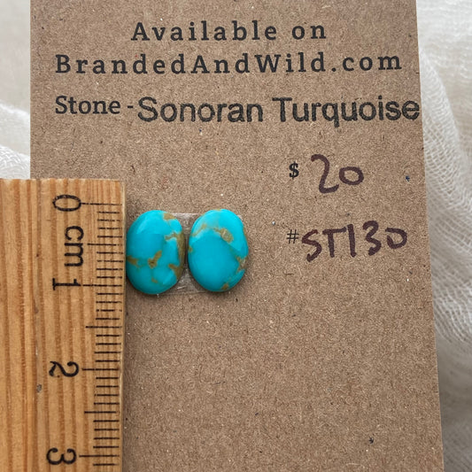 Sonoran Turquoise Cabochon - ST130