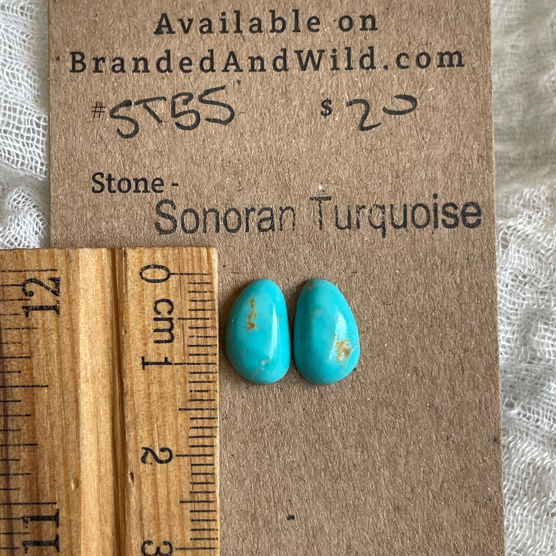 Sonoran Turquoise Cabochon - ST65 D781564B-1AE3-476F-802A-65381696868E Brandedandwild.com