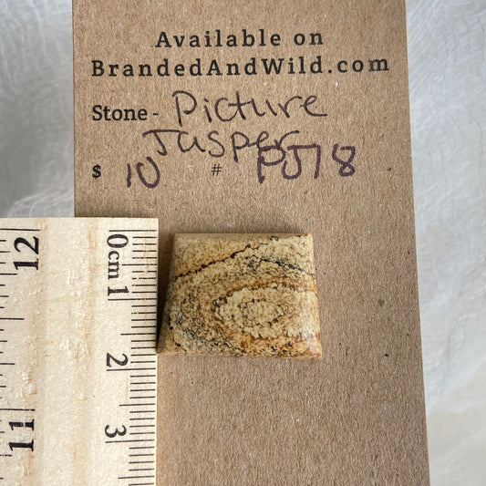 Picture Jasper Cabochon - PJ18