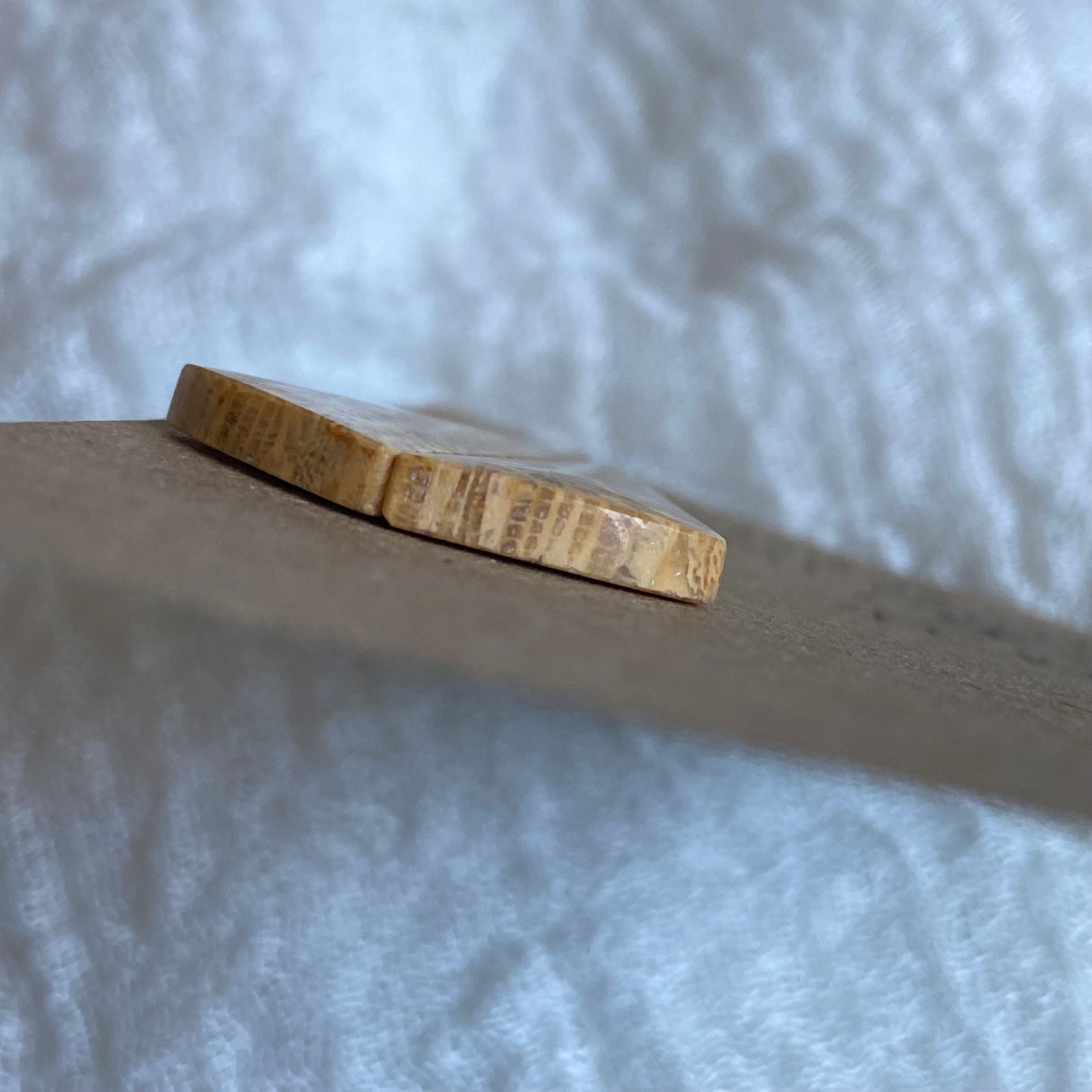 Fossil Coral Cabochon - FC102