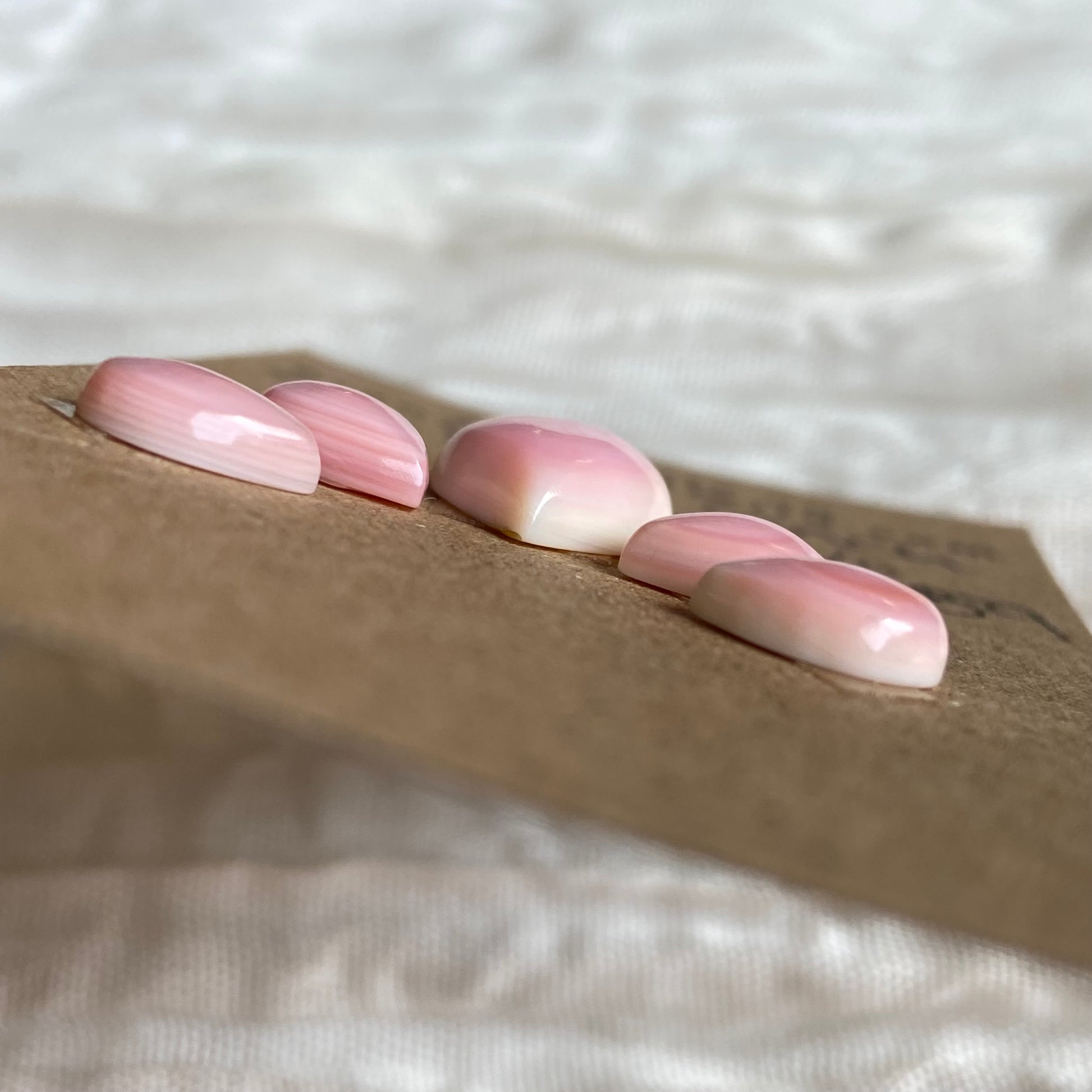 Pink Conch Cabochon - PC59 D7C28415-8960-4DA5-932B-CB1181CF9D8F Brandedandwild.com