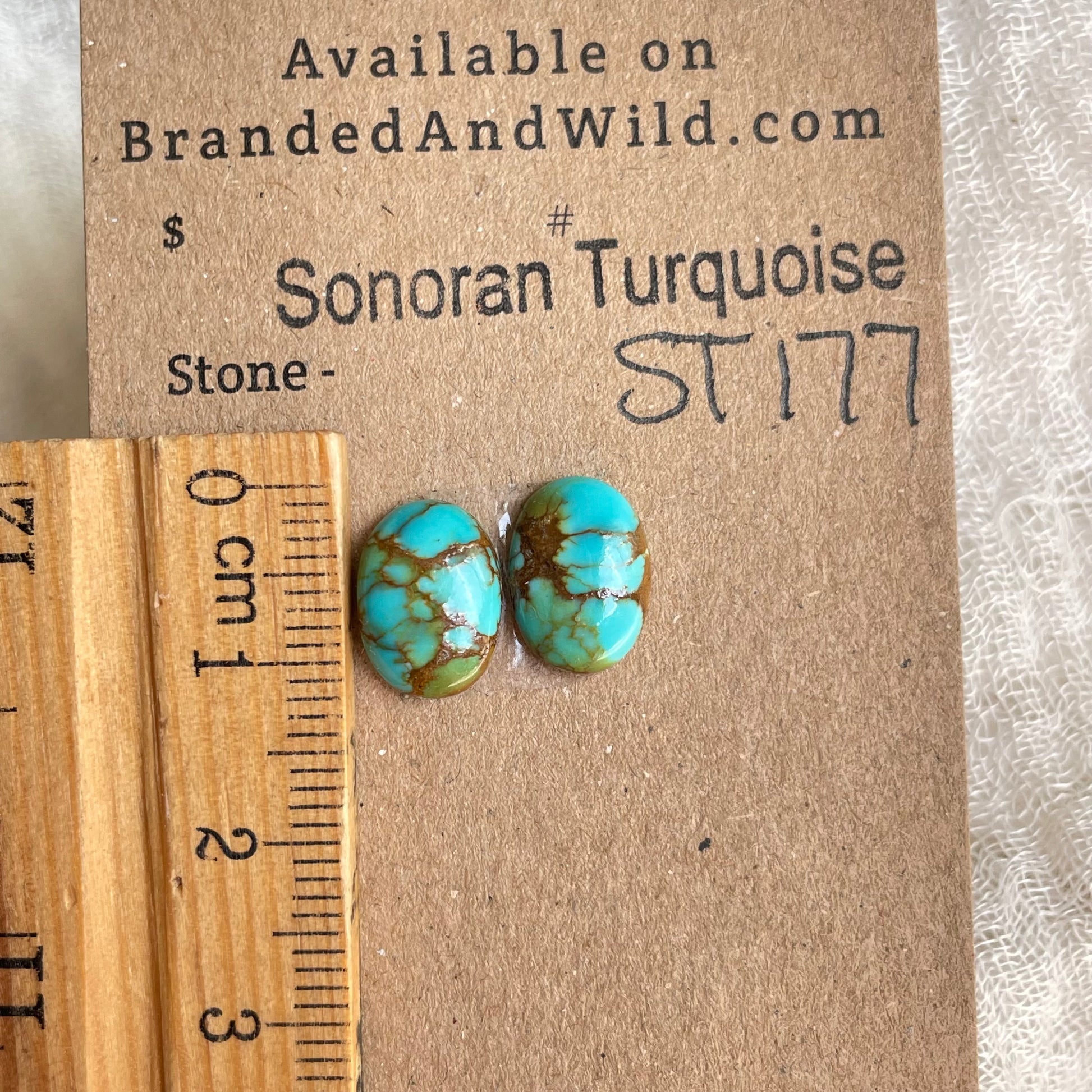 Sonoran Turquoise Cabochon - ST177 D7D8610C-400B-4E8B-AD2E-3B47B2A63DA4 Brandedandwild.com