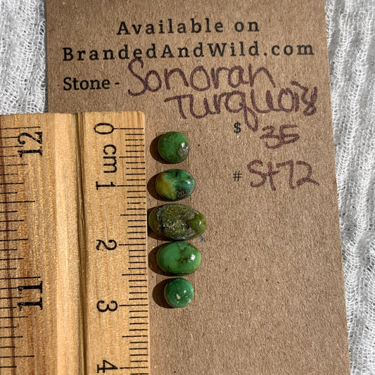 Sonoran Turquoise Cabochon - ST72