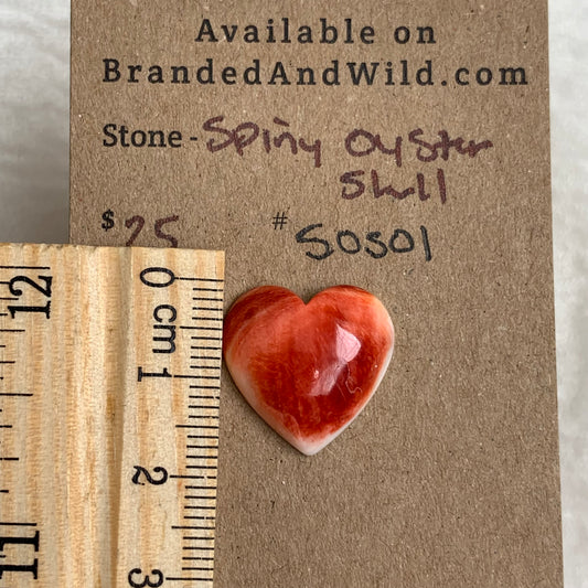 Spiny Oyster Shell Cabochon - SOS01