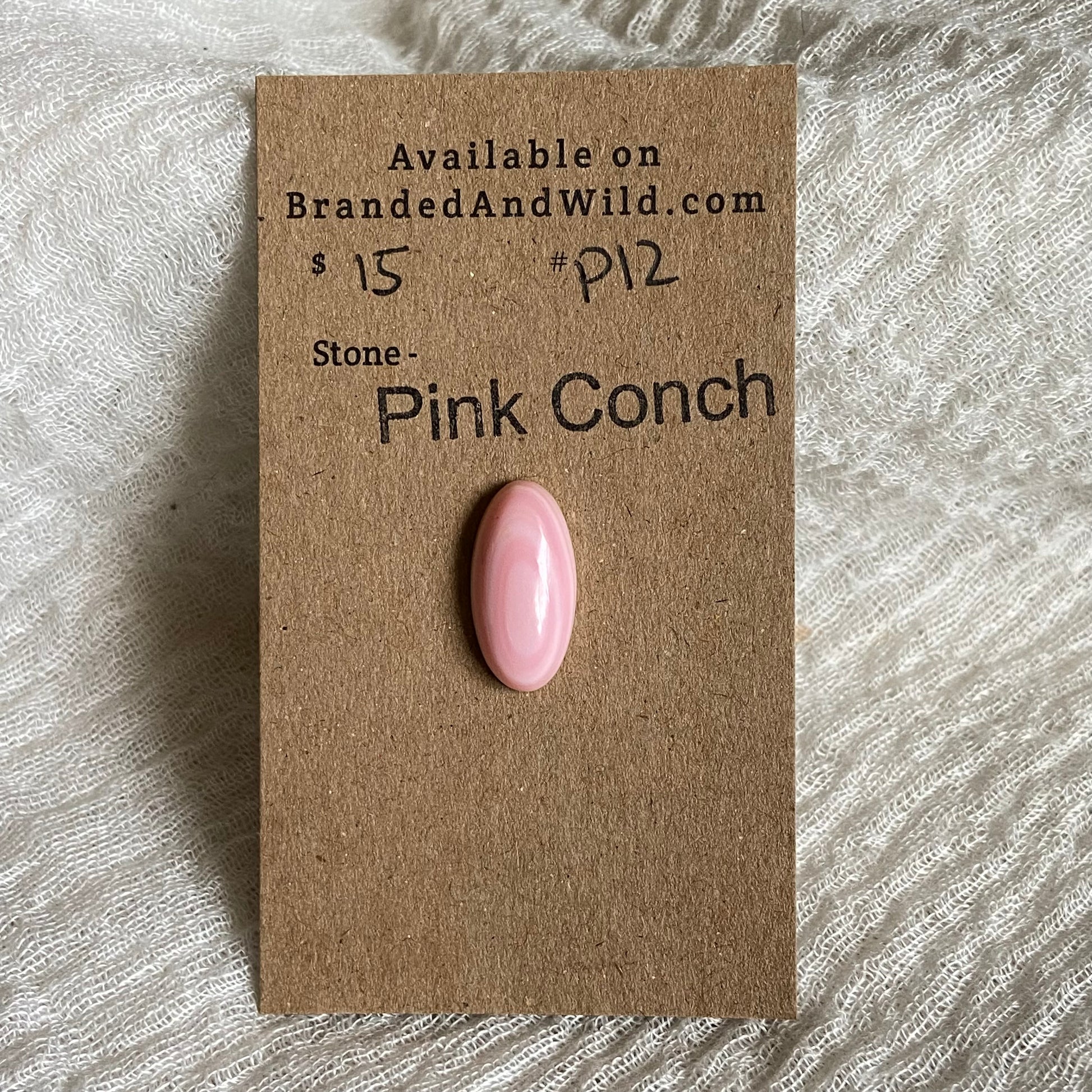 Pink Conch Cabochon - P12 D81F7987-8082-4C17-B6F0-678AE9E96B7D Brandedandwild.com