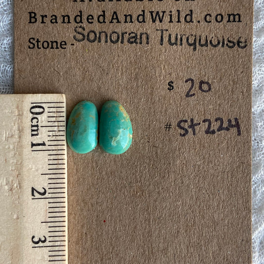 Sonoran Turquoise Cabochon - ST224