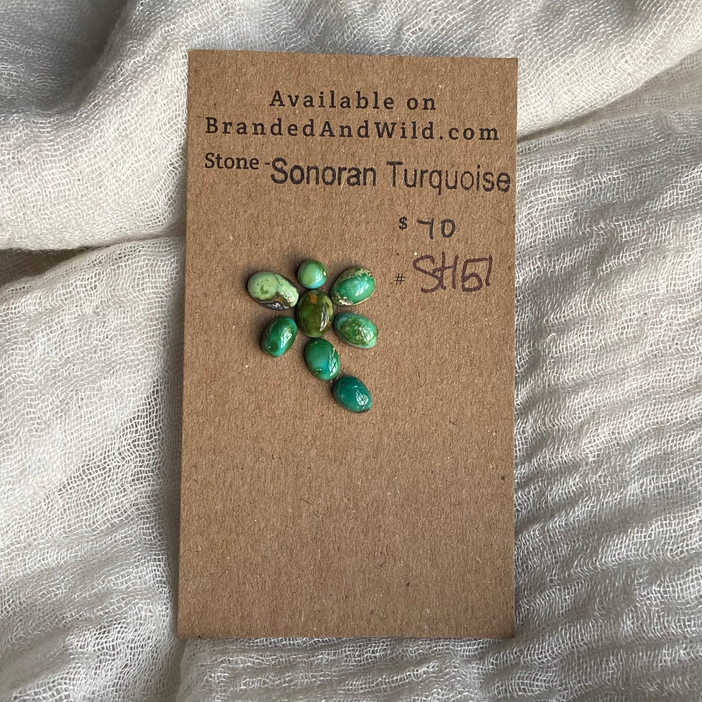 Sonoran Turquoise Cabochon - ST151