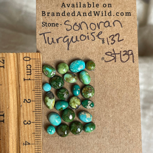 Sonoran Turquoise Cabochon - ST139