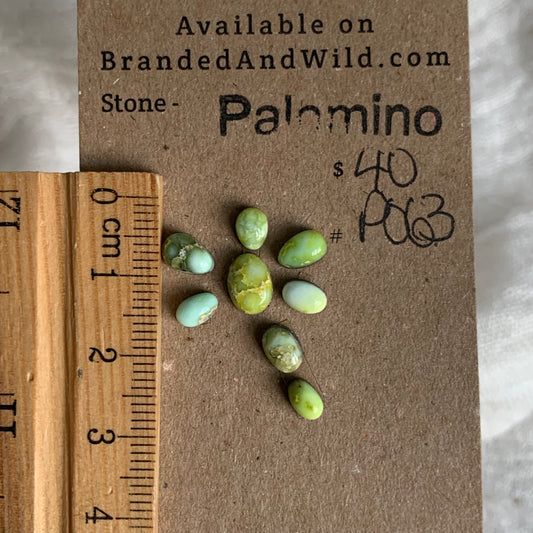 Palomino Cabochon - P063
