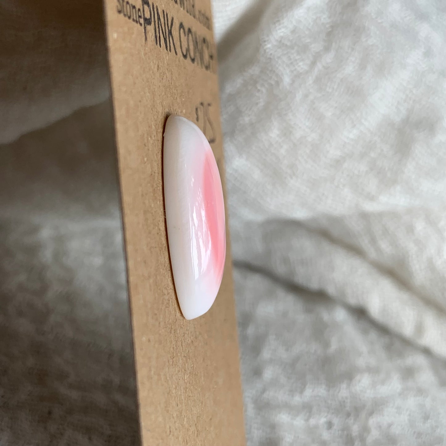 Pink Conch Cabochon - PC01