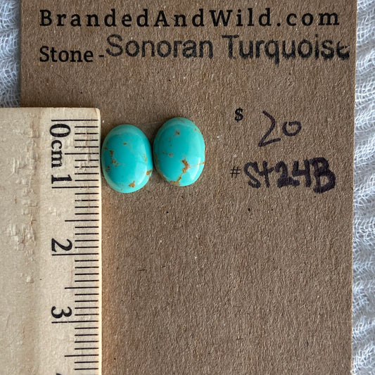 Sonoran Turquoise Cabochon - ST243