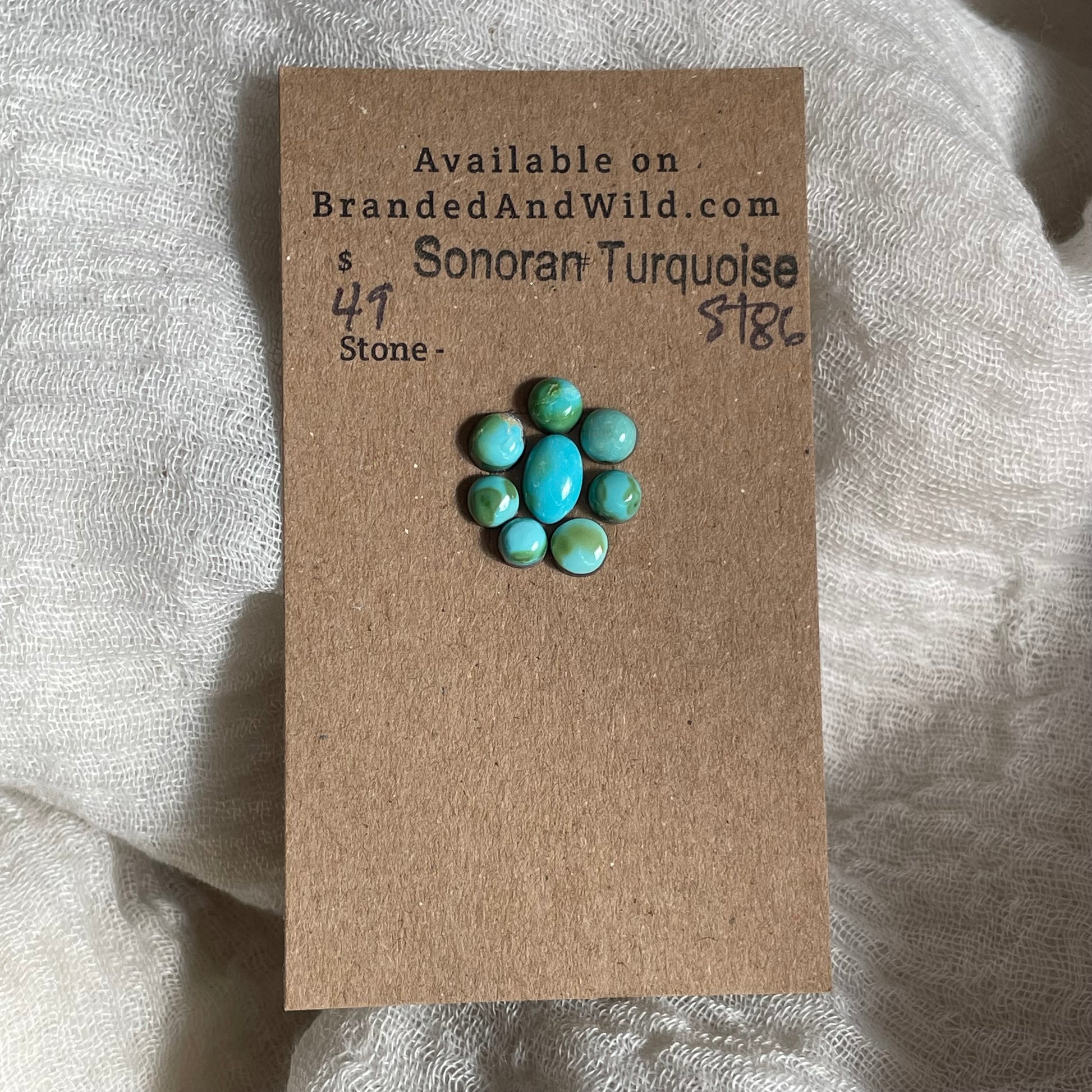 Sonoran Turquoise Cabochon - ST86 D8EFF529-393F-4031-9ECC-49430E281725 Brandedandwild.com