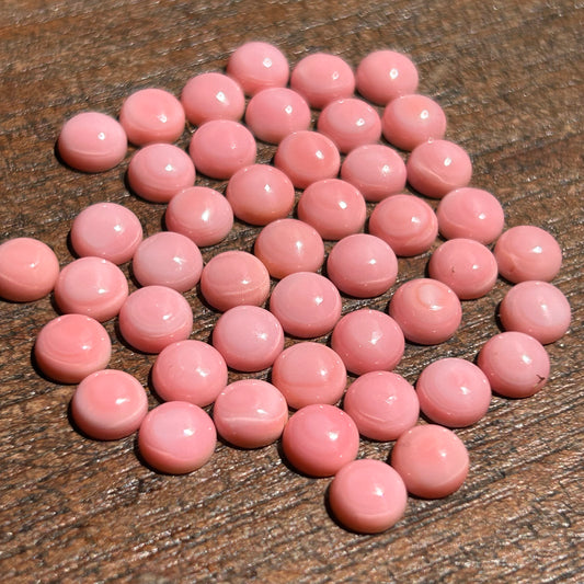 Pink Conch 6mm