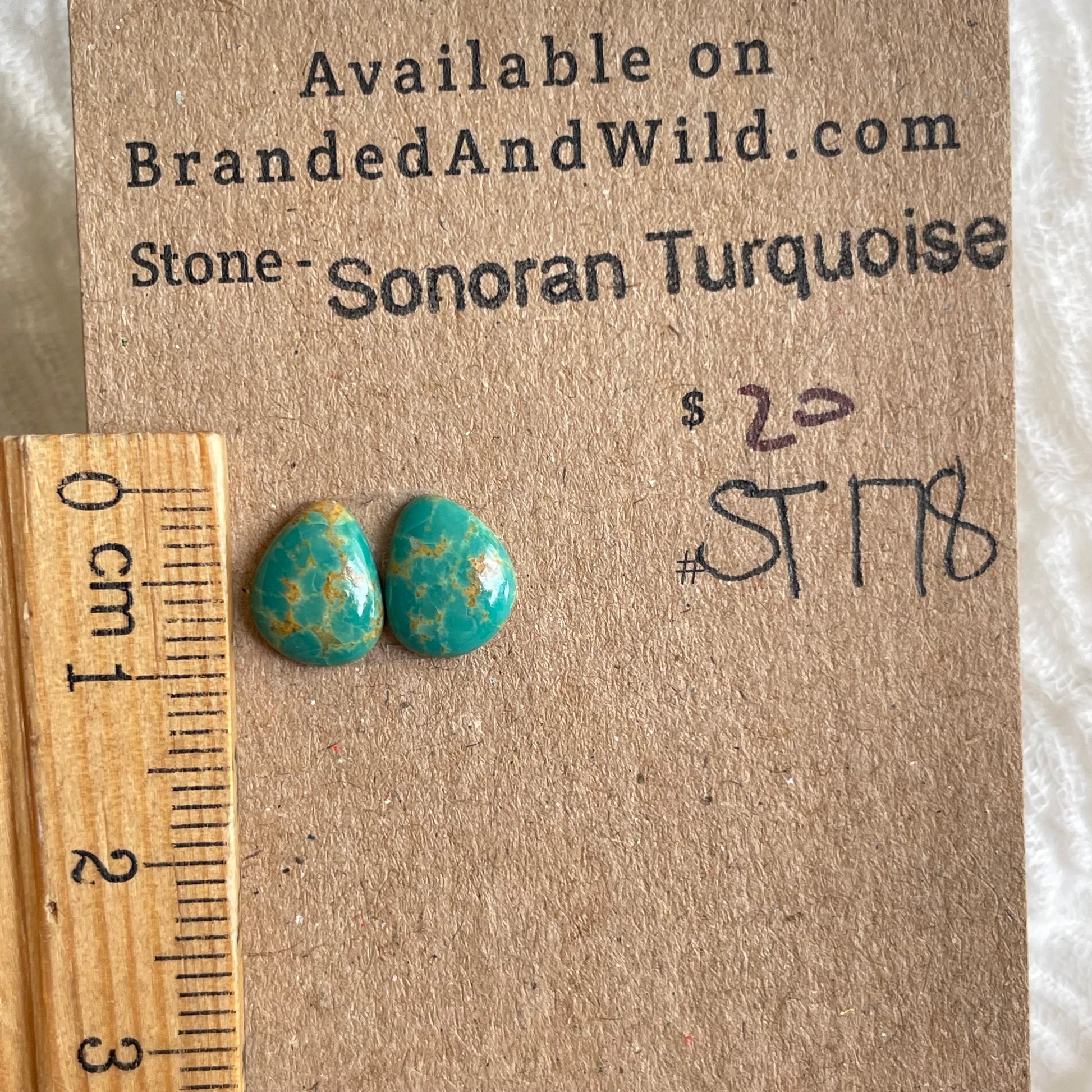 Sonoran Turquoise Cabochon - ST178 D9277187-019F-465F-8FCF-6CF46F02D3F2 Brandedandwild.com