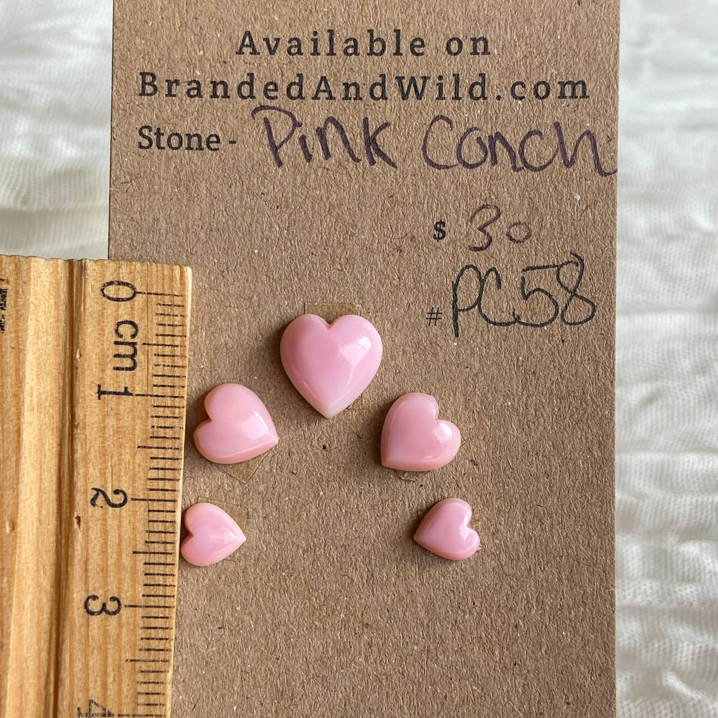 Pink Conch Cabochon - PC38 D9395E27-F8CF-4605-8580-57B557936FE8 Brandedandwild.com