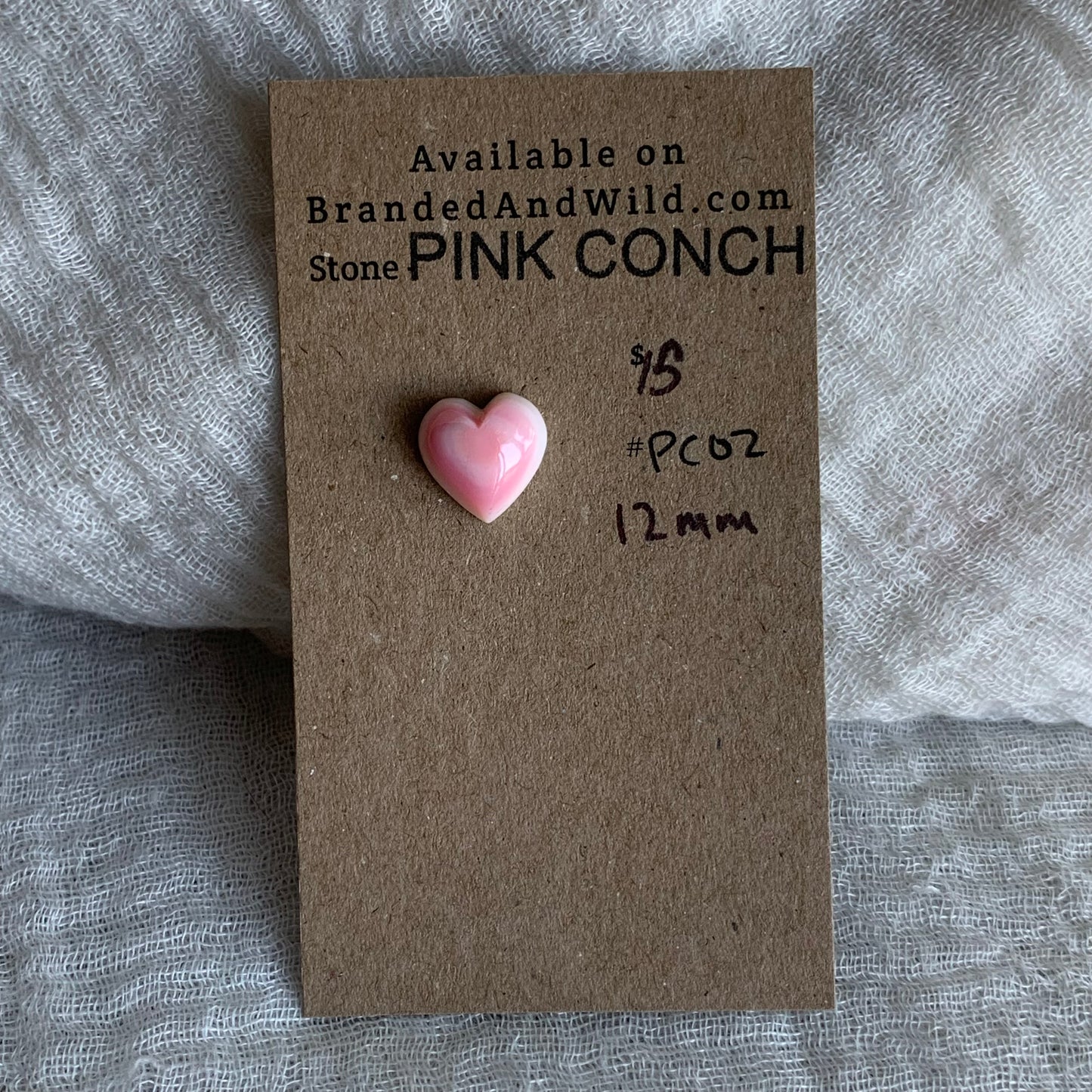 Pink Conch Cabochon - PC02