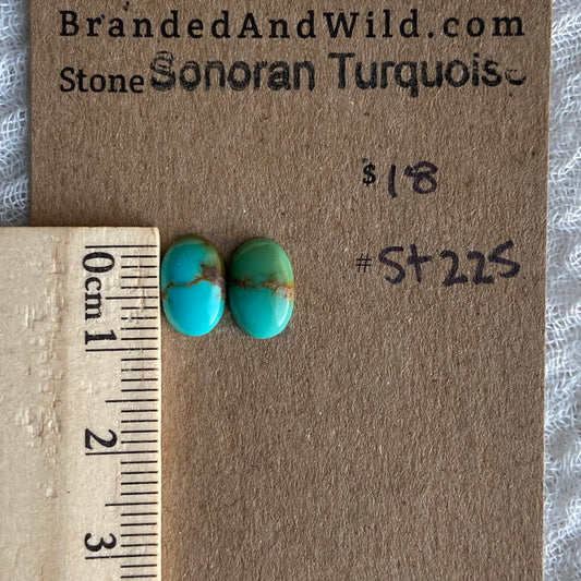 Sonoran Turquoise Cabochon - ST225