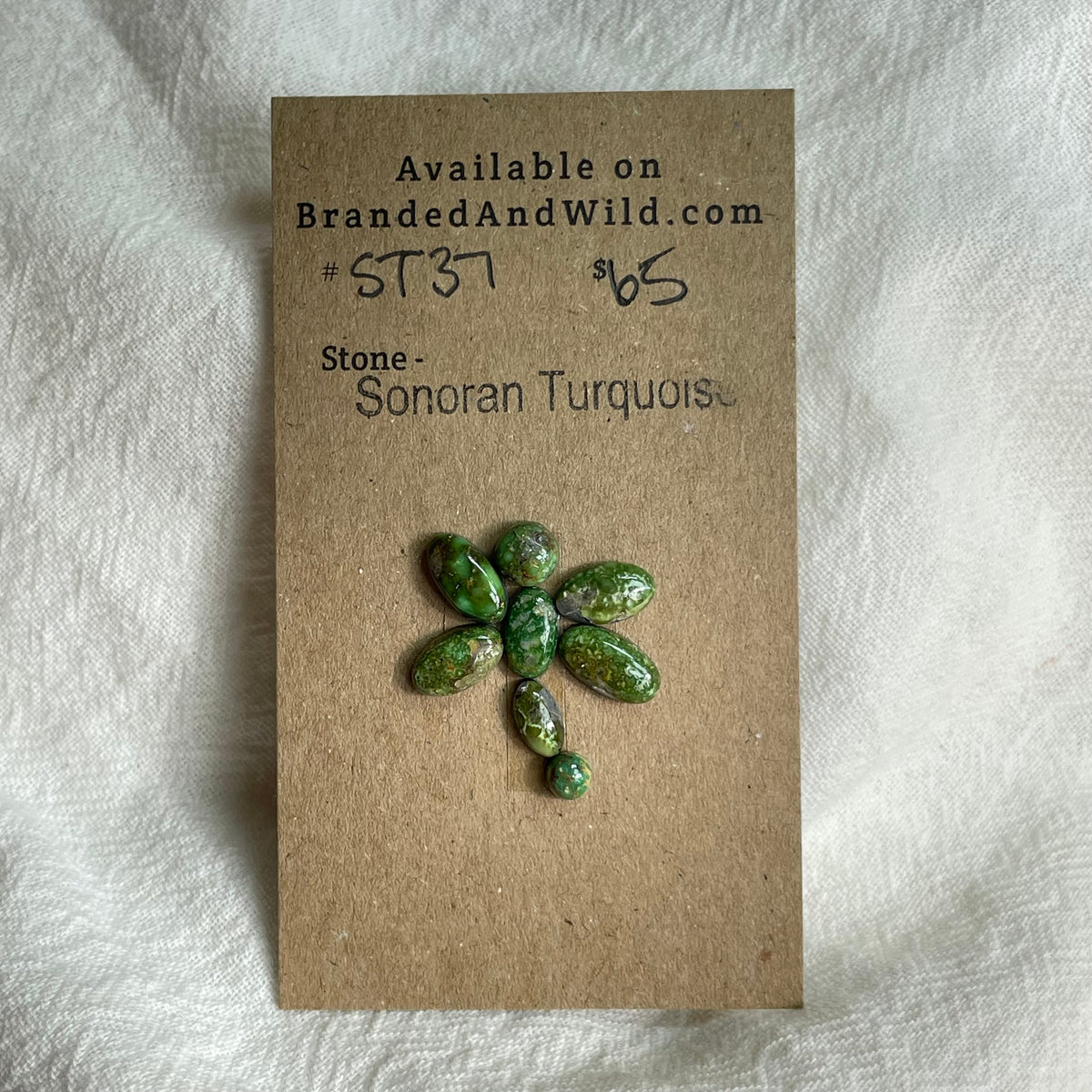 Sonoran Turquoise Cabochon - ST37 D96E8B01-0C09-4587-873E-C5C904EA32EA Brandedandwild.com