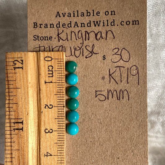 Kingman Turquoise Cabochon - KT19