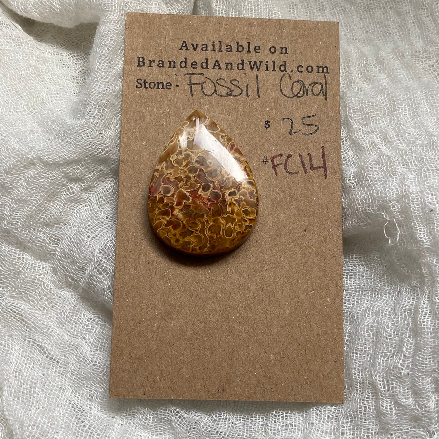 Fossil Coral Cabochon - FC14