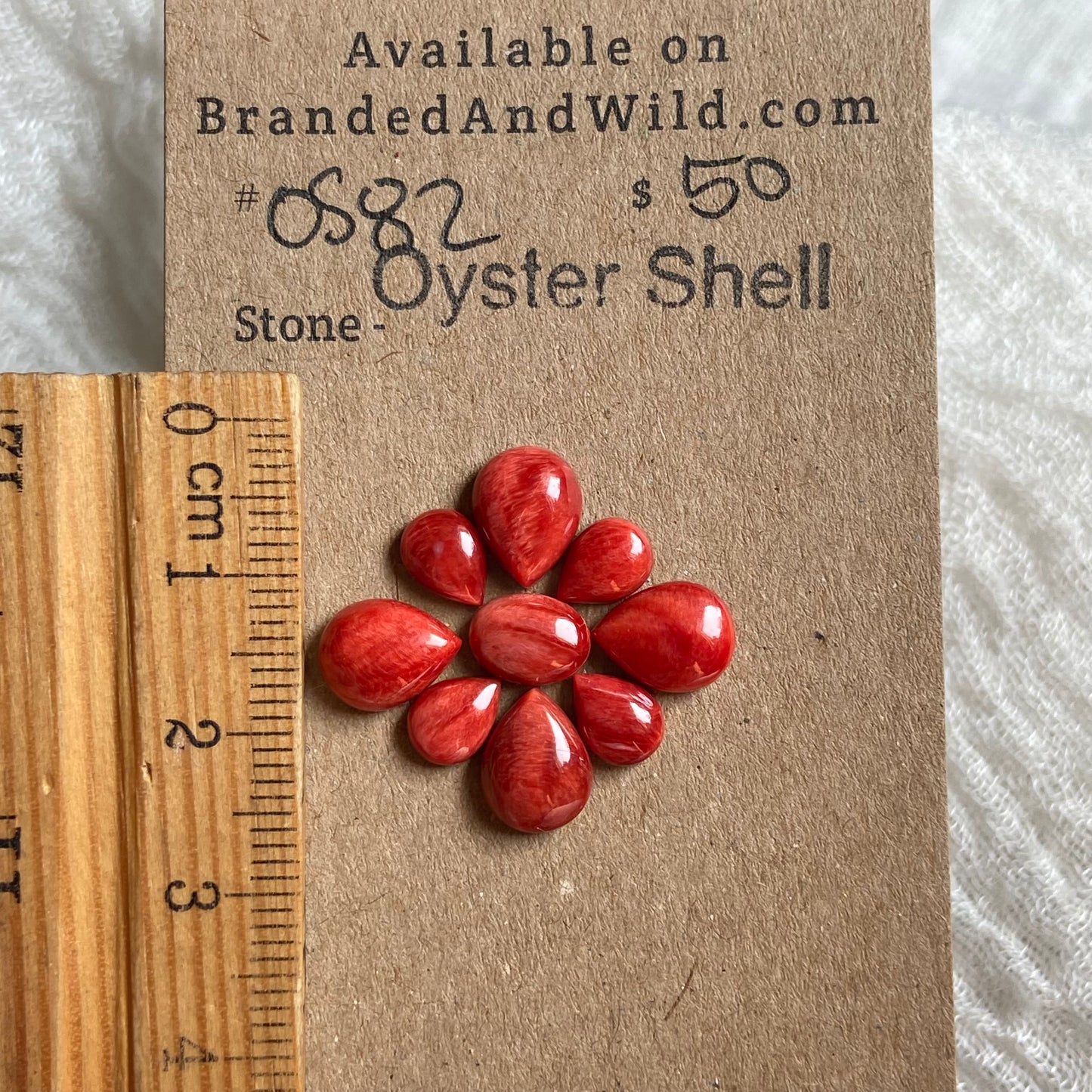 Oyster Shell Cabochon - OS82