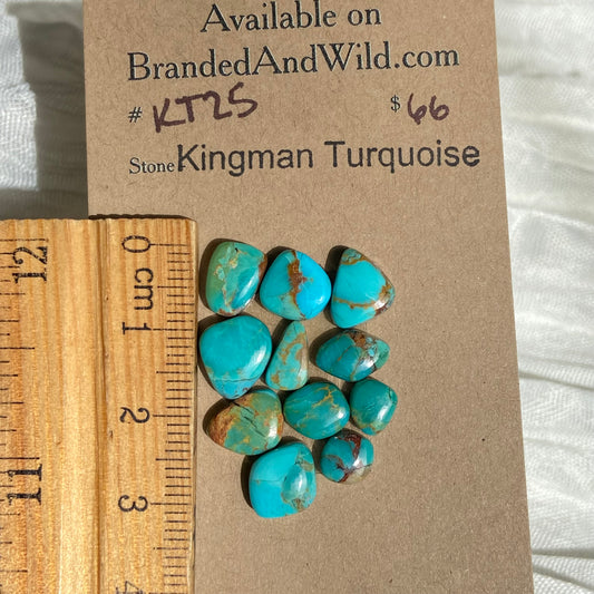 Kingman Turquoise Cabochon - KT25 D9F320D6-FA2D-48AF-8113-8DF4B4E78672 Brandedandwild.com