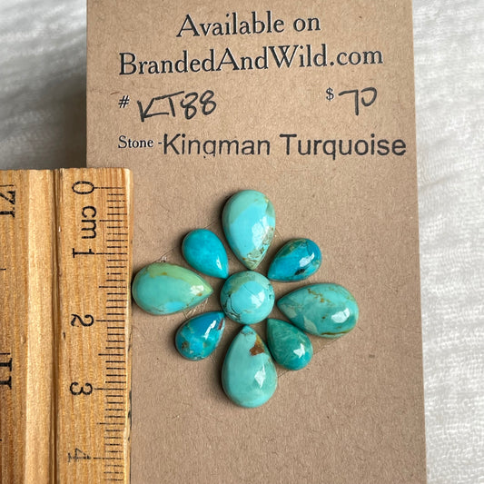 Kingman Turquoise Cabochon - KT88 DA185BE8-1550-4742-9F45-A7AFE3424E11 Brandedandwild.com